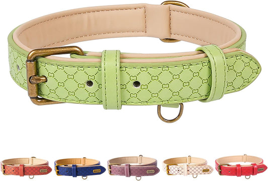 Basic Classic Luxury Padded Leather Dog Collar - Rust Proof Brass Strong Leather Collar Heavy Duty Alloy Hardware Best for Small, Medium, Large Dogs